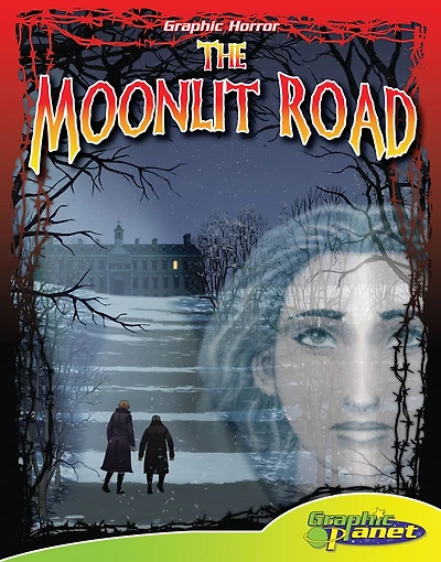 Moonlit Road