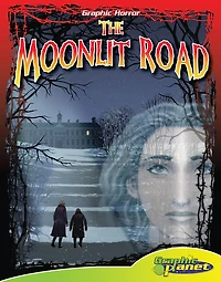 Moonlit Road