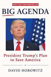 Big Agenda: President Trump's Plan to Save America