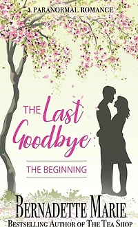 The Last Goodbye - Beginning