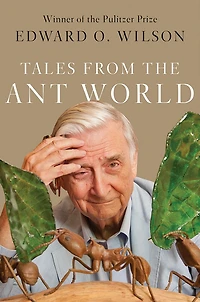 Tales from the Ant World