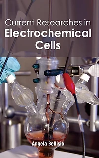 Current Researches in Electrochemical Cells