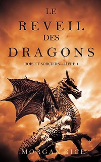 Le Rï¿½veil des Dragons (Rois et Sorciers -Livre 1)