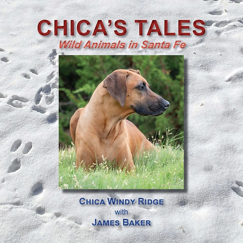Chica's Tales: Wild Animals Santa Fe