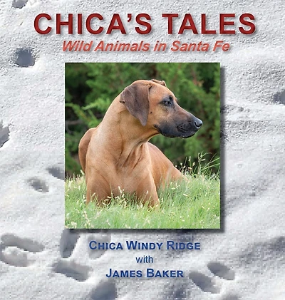 Chica's Tales: Wild Animals Santa Fe
