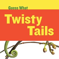 Twisty Tails: Chameleon