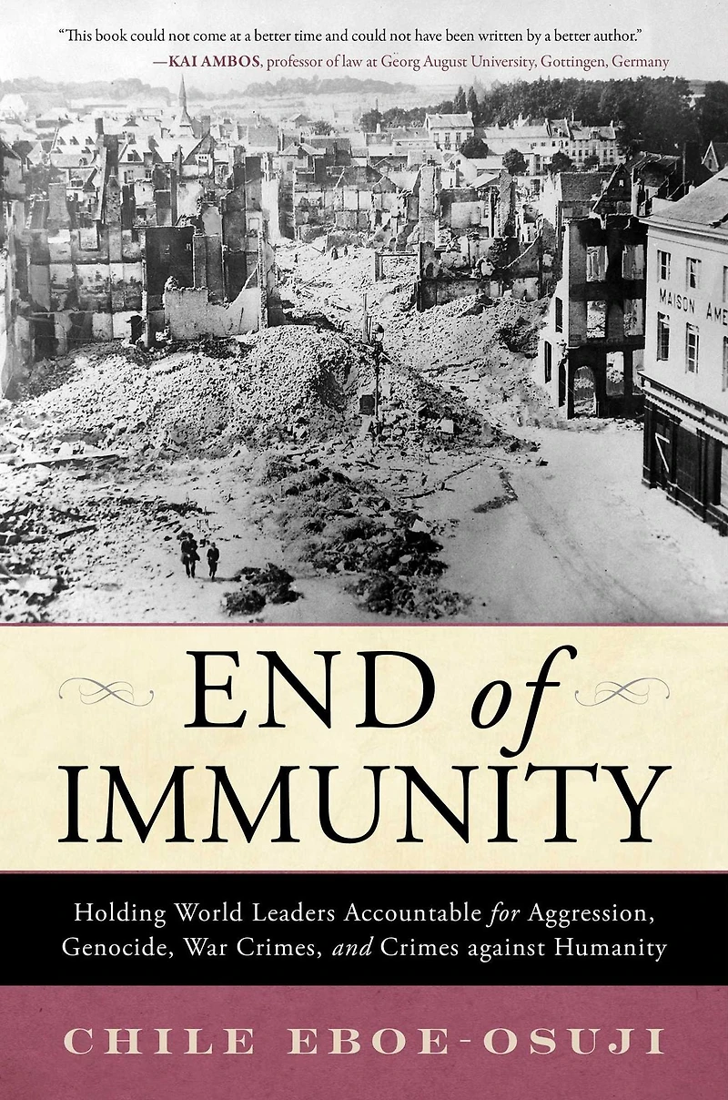End of Immunity: Holding World Leaders Accountable for Aggression, Genocide, War Crimes, and Crimes against Humanity