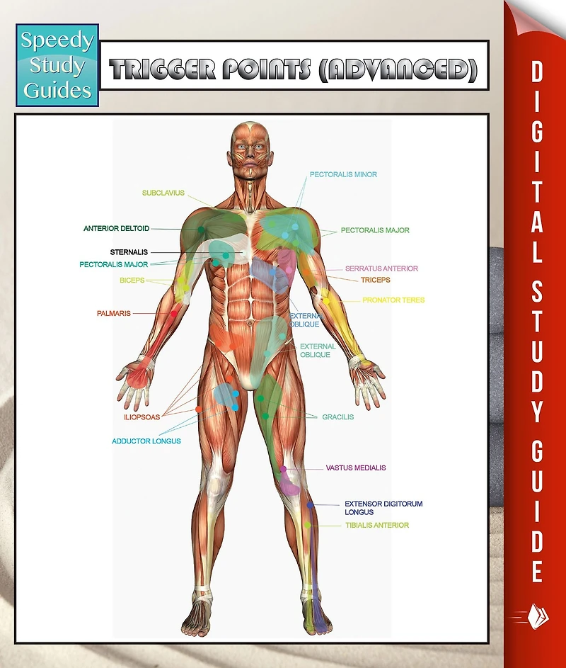 Trigger Points (Advanced) Speedy Study Guides