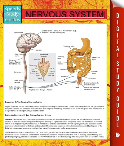 Nervous System (Human) Speedy Study Guides