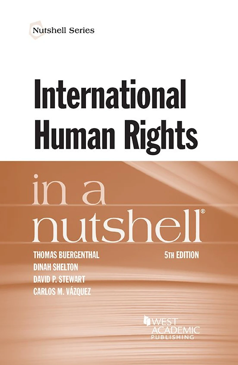 International Human Rights in a Nutshell