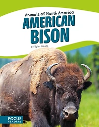 American Bison