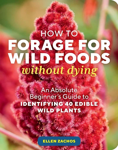 How to Forage for Wild Foods without Dying: An Absolute Beginner's Guide Identifying 40 Edible Plants