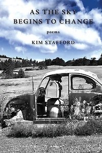 As the Sky Begins to Change: Poems
