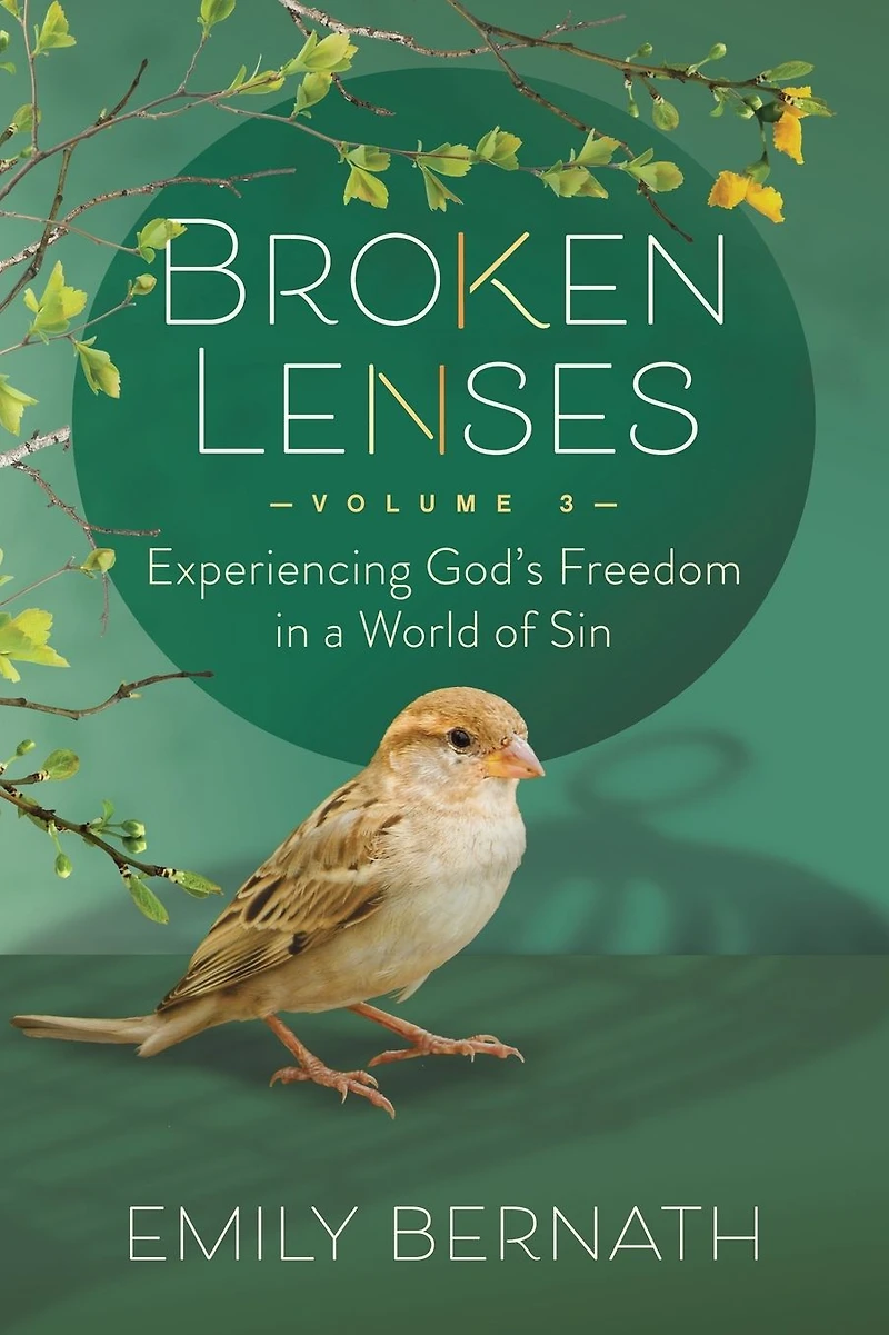 Broken Lenses Volume 3: Experiencing God's Freedom a World of Sin