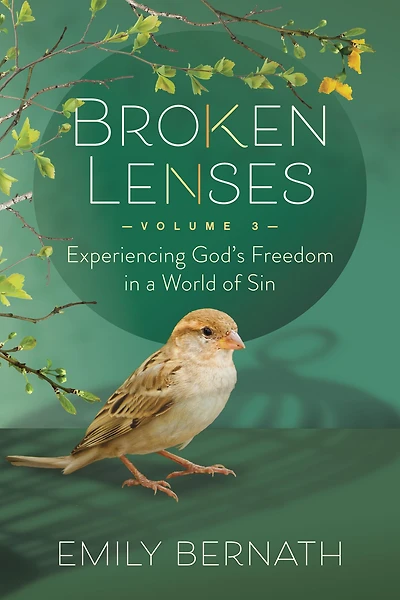Broken Lenses Volume 3: Experiencing God's Freedom a World of Sin