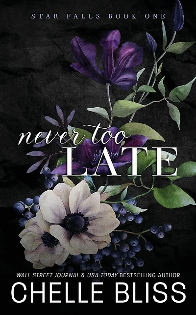 Never Too Late: Discreet Edition