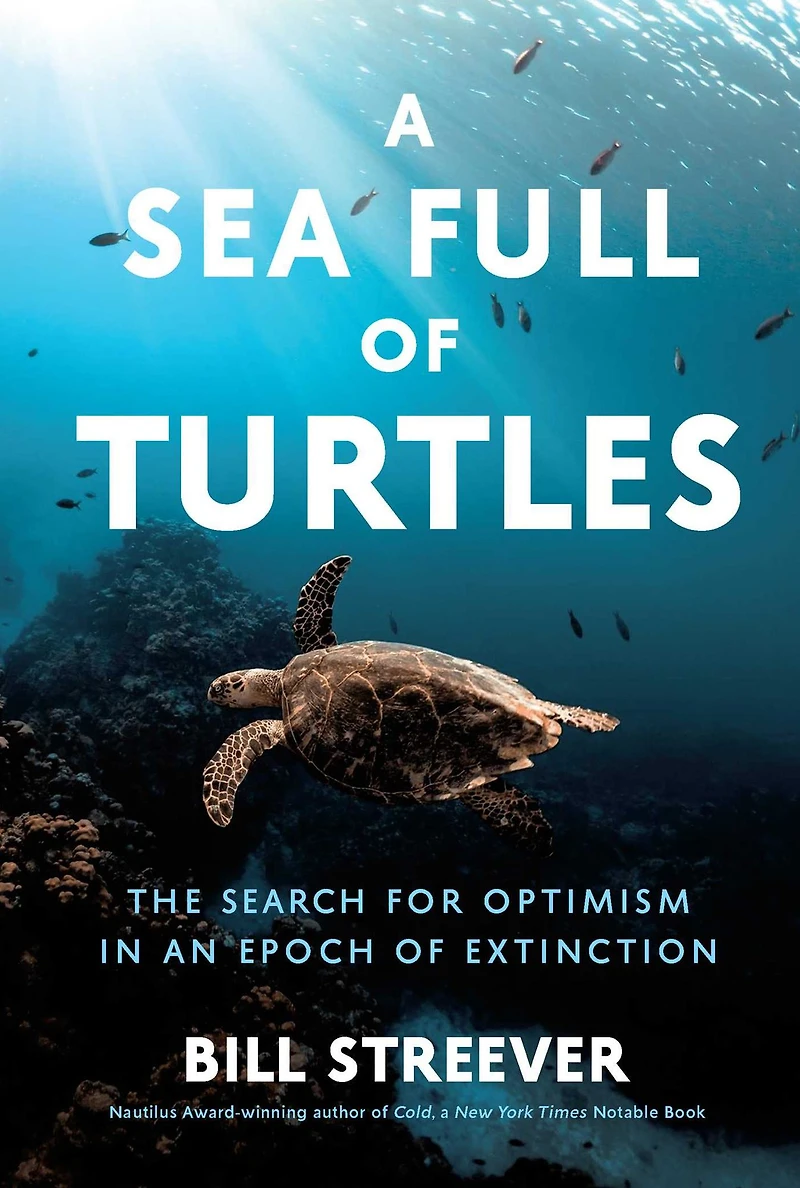A Sea Full of Turtles: The Search for Optimism an Epoch Extinction