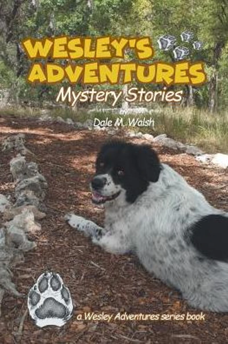 Wesley's Adventures: Mystery Stories