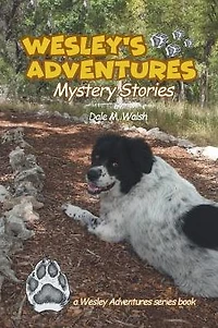 Wesley's Adventures: Mystery Stories