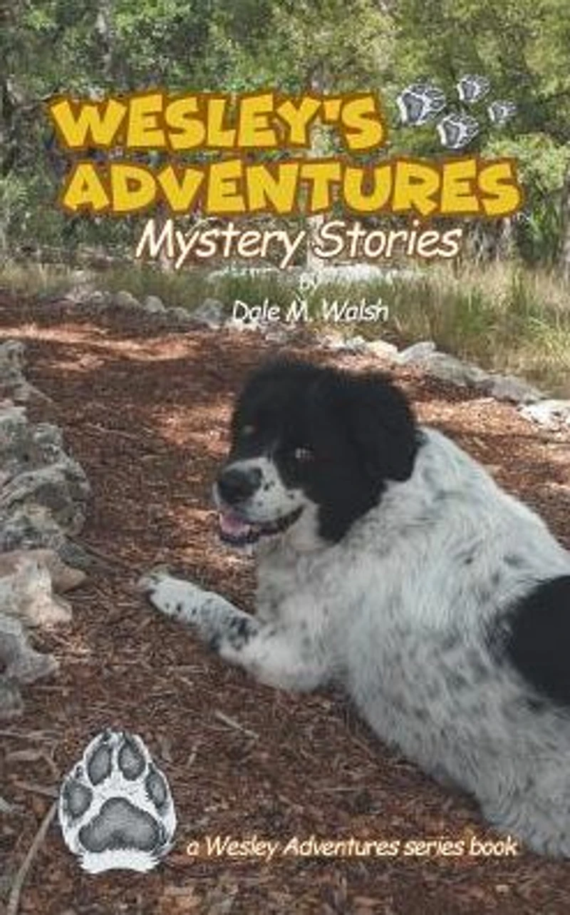Wesley's Adventures: Mystery Stories