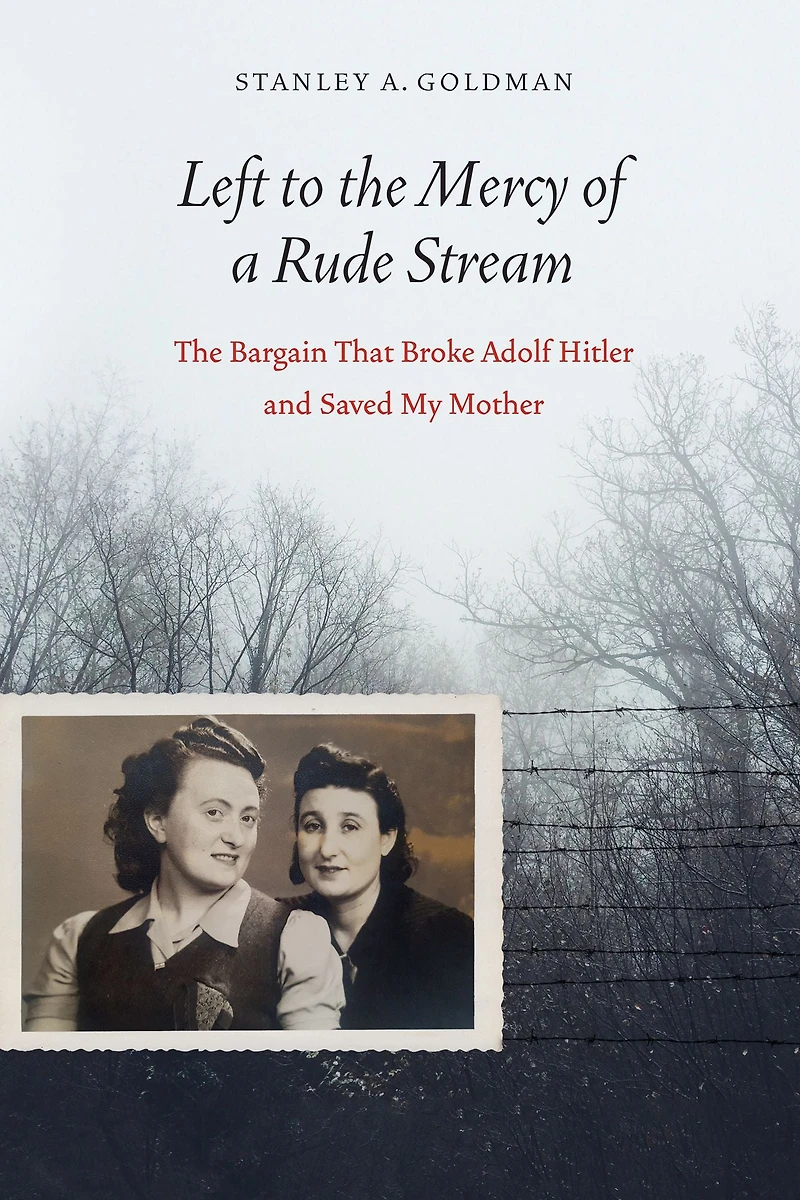 Left to The Mercy of a Rude Stream: Bargain That Broke Adolf Hitler and Saved My Mother