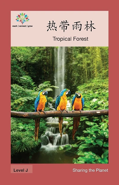 热带雨林: Tropical Forest