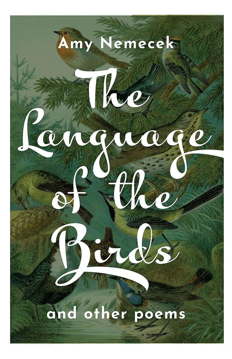 the Language of Birds: Poems