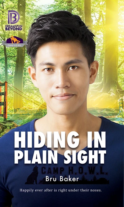 Hiding Plain Sight