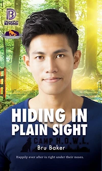 Hiding Plain Sight