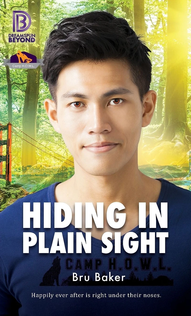 Hiding Plain Sight