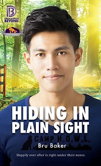 Hiding Plain Sight