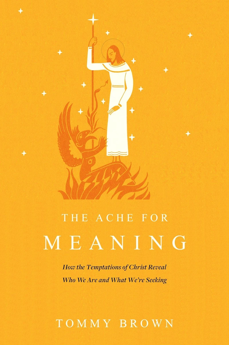 the Ache for Meaning: How Temptations of Christ Reveal Who We Are and What We're Seeking