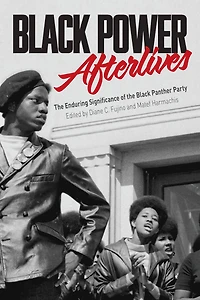 Black Power Afterlives: the Enduring Significance of Panther Party