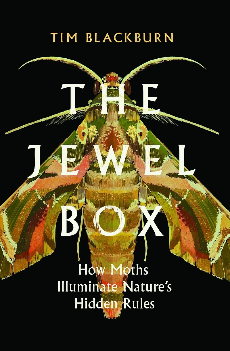 The Jewel Box: How Moths Illuminate Nature's Hidden Rules