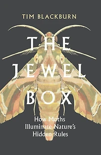 The Jewel Box: How Moths Illuminate Nature's Hidden Rules