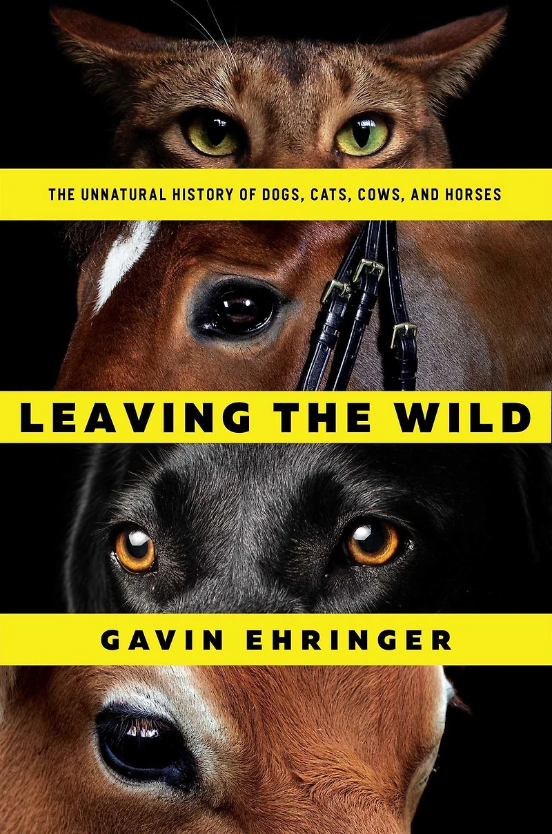 Leaving The Wild: Unnatural History of Dogs, Cats, Cows, and Horses