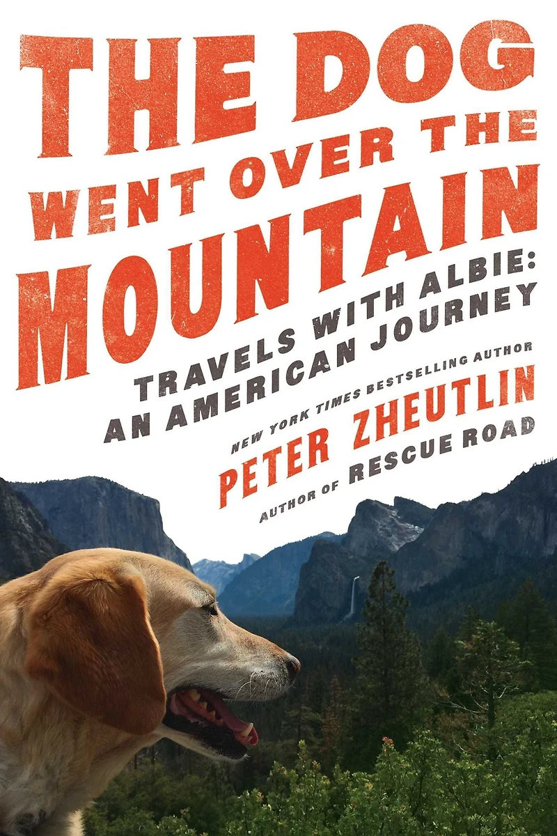 the Dog Went Over Mountain: Travels With Albie: An American Journey
