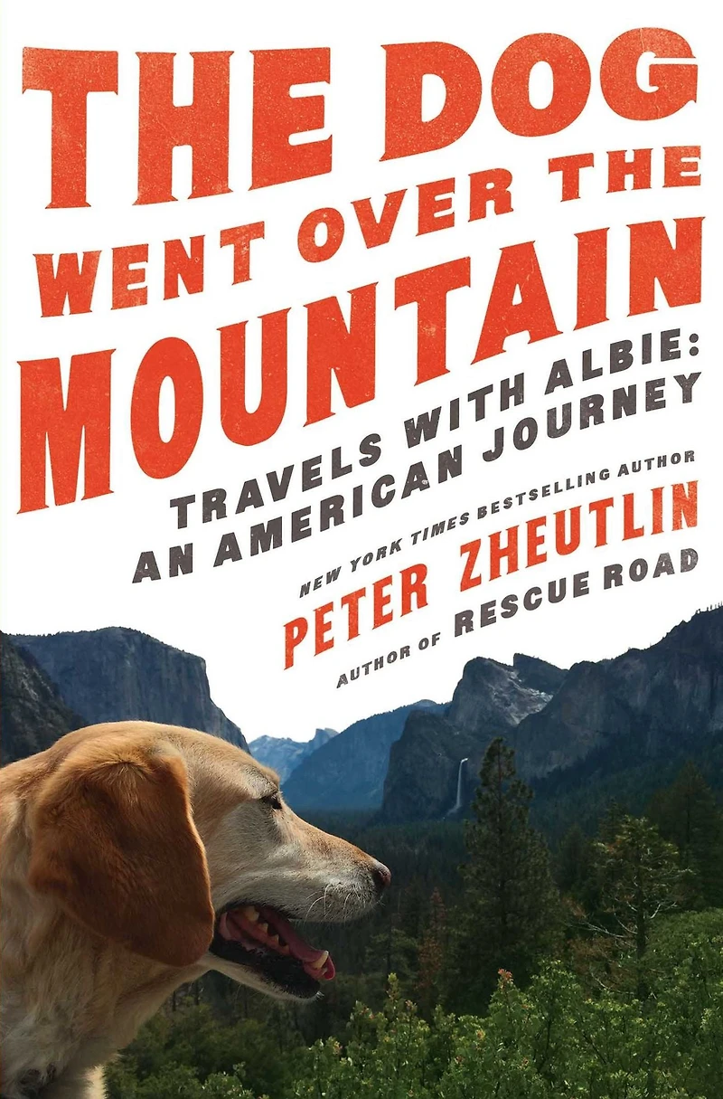 the Dog Went Over Mountain: Travels With Albie: An American Journey