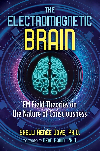 the Electromagnetic Brain: EM Field Theories on Nature of Consciousness