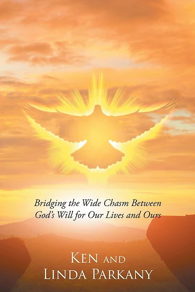 A Call to Inspire: Bridging the Wide Chasm Between God's Will for Our Lives and Ours