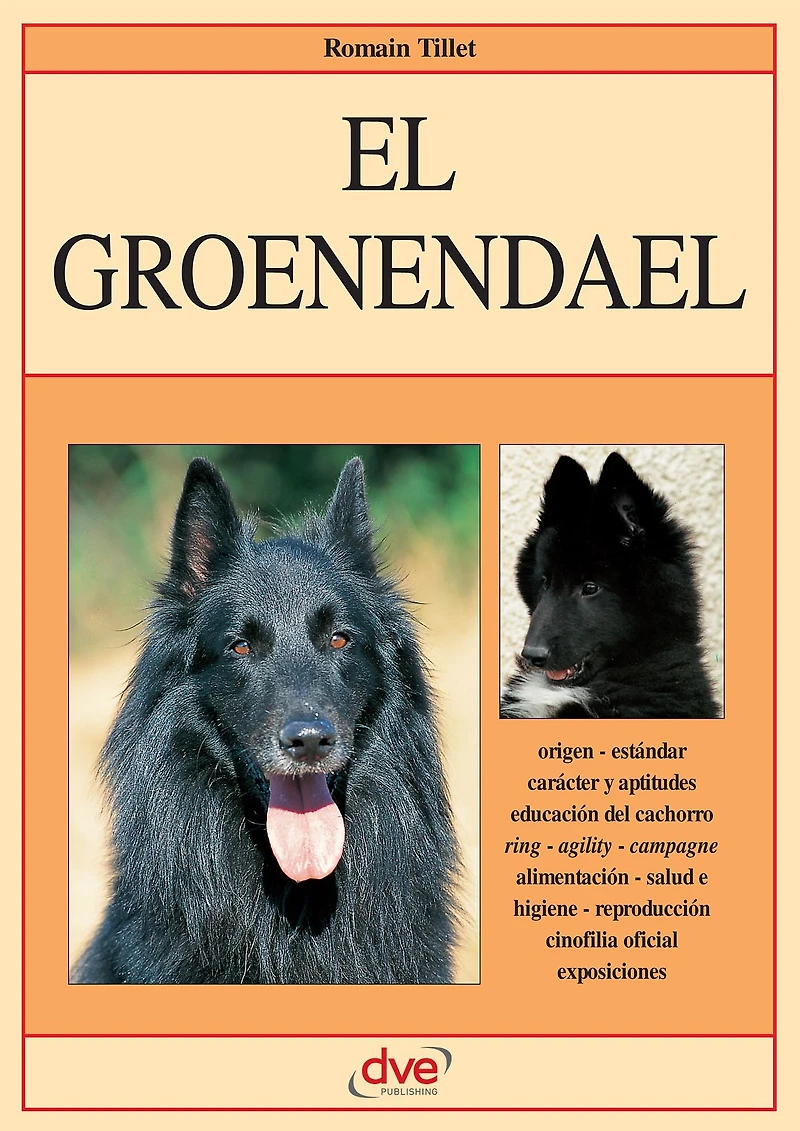 El groenendael: Carácter, educación y cuidados del groenendael