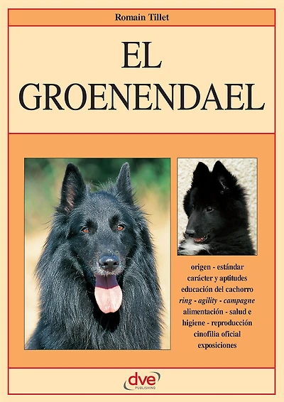 El groenendael: Carácter, educación y cuidados del groenendael