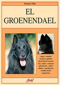 El groenendael: Carácter, educación y cuidados del groenendael