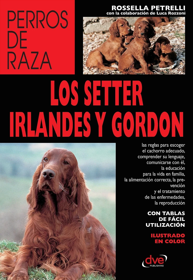 Los setter irlandés y gordon: Manual sobre el cuidado, educación y características de los setter irlandés y gordon