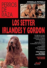 Los setter irlandés y gordon: Manual sobre el cuidado, educación y características de los setter irlandés y gordon
