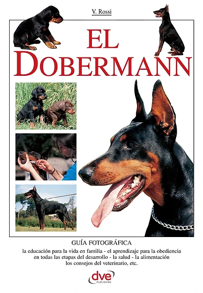 El Doberman: Guía esencial para elegir, educar y cuidar a un dobermann equilibrado y seguro