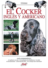 El Cocker inglés y americano: Convivencia, educación y cuidados esenciales del cocker inglés y del cocker americano