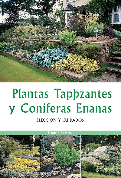 Plantas tapizantes y coníferas enanas