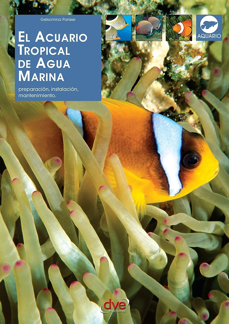 El acuario tropical de agua marina