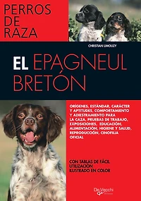 El Épagneul Bretón